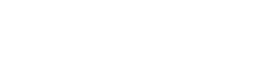 MEDICAL SPAS